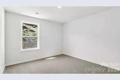 208 Driscoll Way, Weaverville, NC 28787 - Photo 24