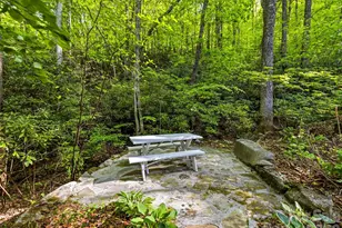 329 Kenmure Dr, Flat Rock, NC 28731 - Photo 44