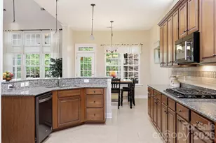 1135 Gold Rush Ct, Fort Mill, SC 29708 - Photo 16