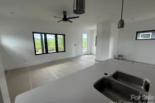 3 Locust St, Asheville, NC 28804 - Photo 6