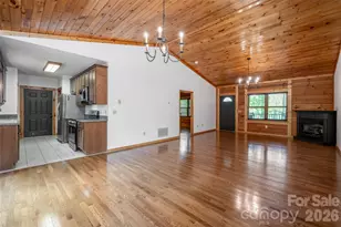 20 Small Mountain Dr, Asheville, NC 28805 - Photo 16