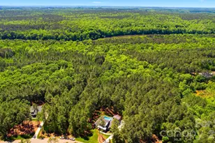 6223 Chimney Bluff Rd, Lancaster, SC 29720 - Photo 44