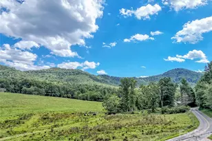 250 Reeves Cove Rd, Candler, NC 28715 - Photo 44