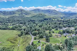 250 Reeves Cove Rd, Candler, NC 28715 - Photo 42