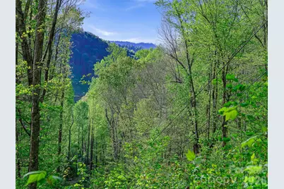1161 Deep Gap Road, Burnsville, NC 28714 - Photo 8
