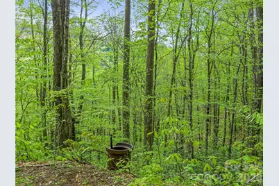 1161 Deep Gap Road, Burnsville, NC 28714 - Photo 14