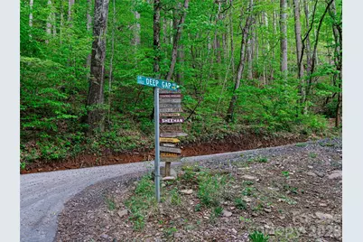 1161 Deep Gap Road, Burnsville, NC 28714 - Photo 4