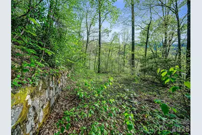 1161 Deep Gap Road, Burnsville, NC 28714 - Photo 10
