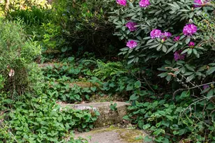 18 Forest Rd, Asheville, NC 28803 - Photo 8