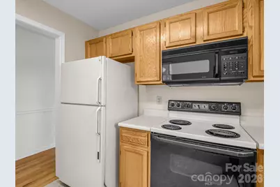3005 Sagamore Lane, Asheville, NC 28806 - Photo 26