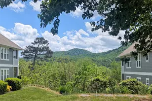 3005 Sagamore Ln, Asheville, NC 28806 - Photo 46