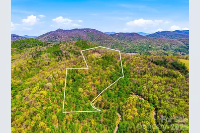 91 Great Oak Lane, Fairview, NC 28730 - Photo 48