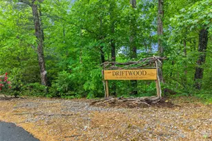 139 Picnic Point Rd, Lake Lure, NC 28746 - Photo 4