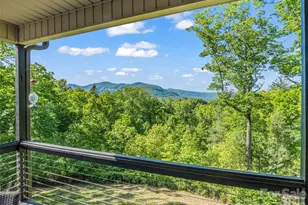 139 Picnic Point Rd, Lake Lure, NC 28746 - Photo 2