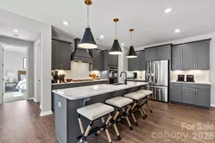 1133 Sugar Crk Rd, Indian Land, SC 29707 - Photo 12