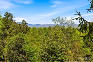10 Kalimar Heights, Hendersonville, NC 28739 - Photo 46