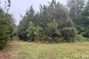 1761 Brown Rd, Chester, SC 29706 - Photo 2