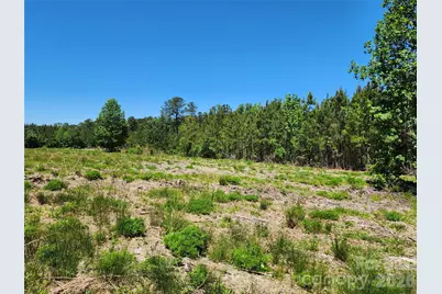 2423 Pine Grove Church Road, Eagle Springs, NC 28272 - Photo 8
