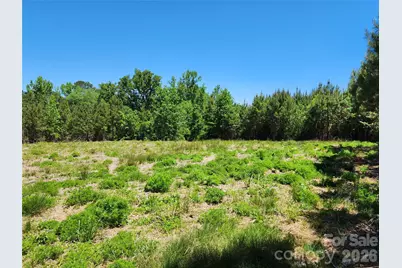 2423 Pine Grove Church Road, Eagle Springs, NC 28272 - Photo 4