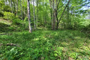 00 Fox Run Rd, Waynesville, NC 28785 - Photo 1
