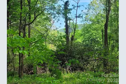 00 Fox Run Road, Waynesville, NC 28785 - Photo 2