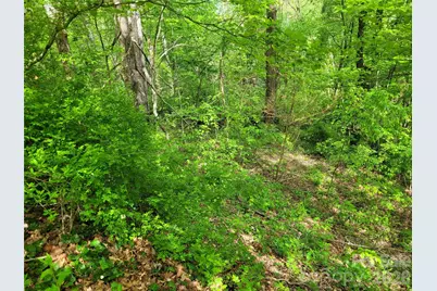 00 Fox Run Road, Waynesville, NC 28785 - Photo 10