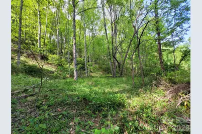 00 Fox Run Road, Waynesville, NC 28785 - Photo 6