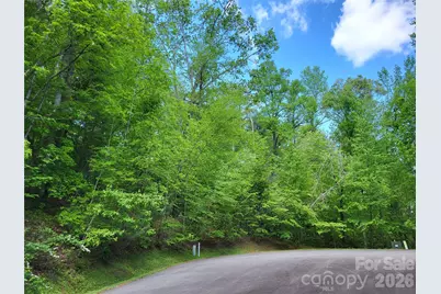 20 Rockbrook Overlook #L20, Brevard, NC 28712 - Photo 4