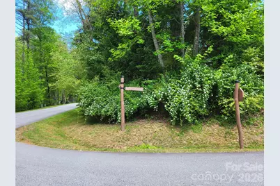 20 Rockbrook Overlook #L20, Brevard, NC 28712 - Photo 2