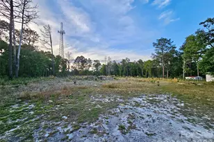 16318 Sc Hwy 102 Hwy, Patrick, SC 29584 - Photo 28