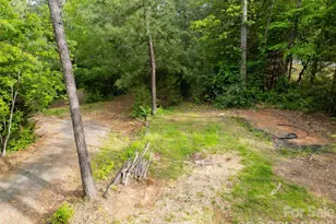 1335 Little Mountain Rd, Columbus, NC 28722 - Photo 38