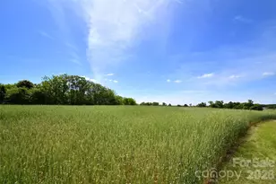 36276 Vick Rd, New London, NC 28127 - Photo 40
