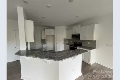 17022 Patron Drive, Charlotte, NC 28273 - Photo 4