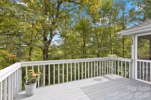 320 Dawnbrook Dr, Flat Rock, NC 28731 - Photo 44