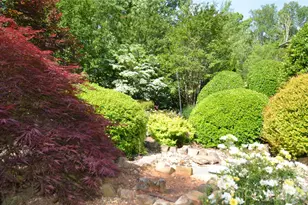 380 Montagu Dr, Spartanburg, SC 29301 - Photo 42