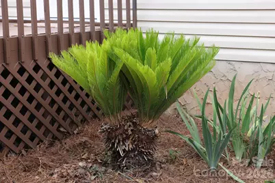 317 Devine Avenue, Belmont, NC 28012 - Photo 34