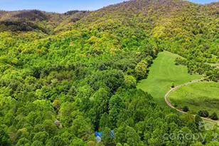 438 Serenity Mountain Rd, Waynesville, NC 28786 - Photo 46