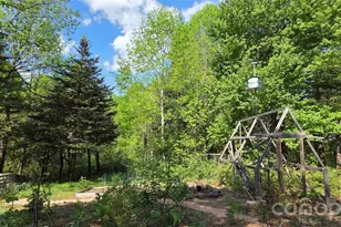 140 Elijah Hall Rd, Black Mountain, NC 28711 - Photo 32