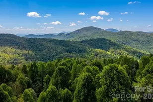 140 Elijah Hall Rd, Black Mountain, NC 28711 - Photo 8