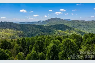 140 Elijah Hall Road, Black Mountain, NC 28711 - Photo 10