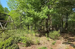 140 Elijah Hall Rd, Black Mountain, NC 28711 - Photo 30