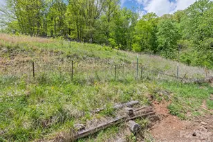 3607 Max Patch Rd, Clyde, NC 28721 - Photo 8