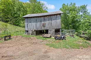 3607 Max Patch Rd, Clyde, NC 28721 - Photo 6