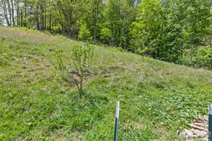 3607 Max Patch Rd, Clyde, NC 28721 - Photo 10