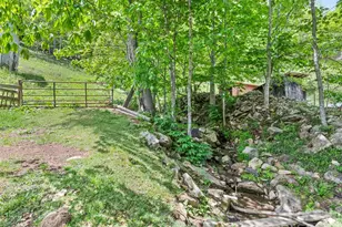 3607 Max Patch Rd, Clyde, NC 28721 - Photo 12