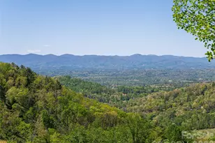 32 Timberwolf Ct, Asheville, NC 28804 - Photo 4