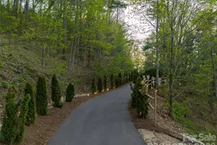 32 Timberwolf Ct, Asheville, NC 28804 - Photo 44