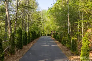 32 Timberwolf Ct, Asheville, NC 28804 - Photo 36