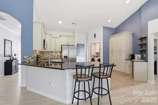 213 Blackberry Walk, Fort Mill, SC 29715 - Photo 6