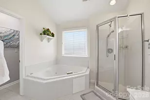 213 Blackberry Walk, Fort Mill, SC 29715 - Photo 18